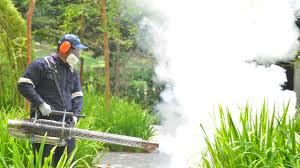 Best Mosquito Control  in St Johns, MI